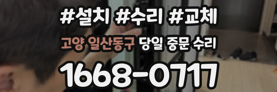 고양 일산동구 당일 중문 수리