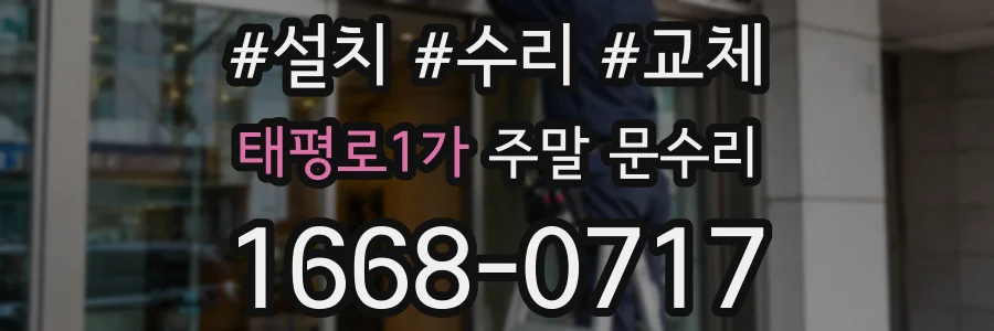 태평로1가 주말 문수리