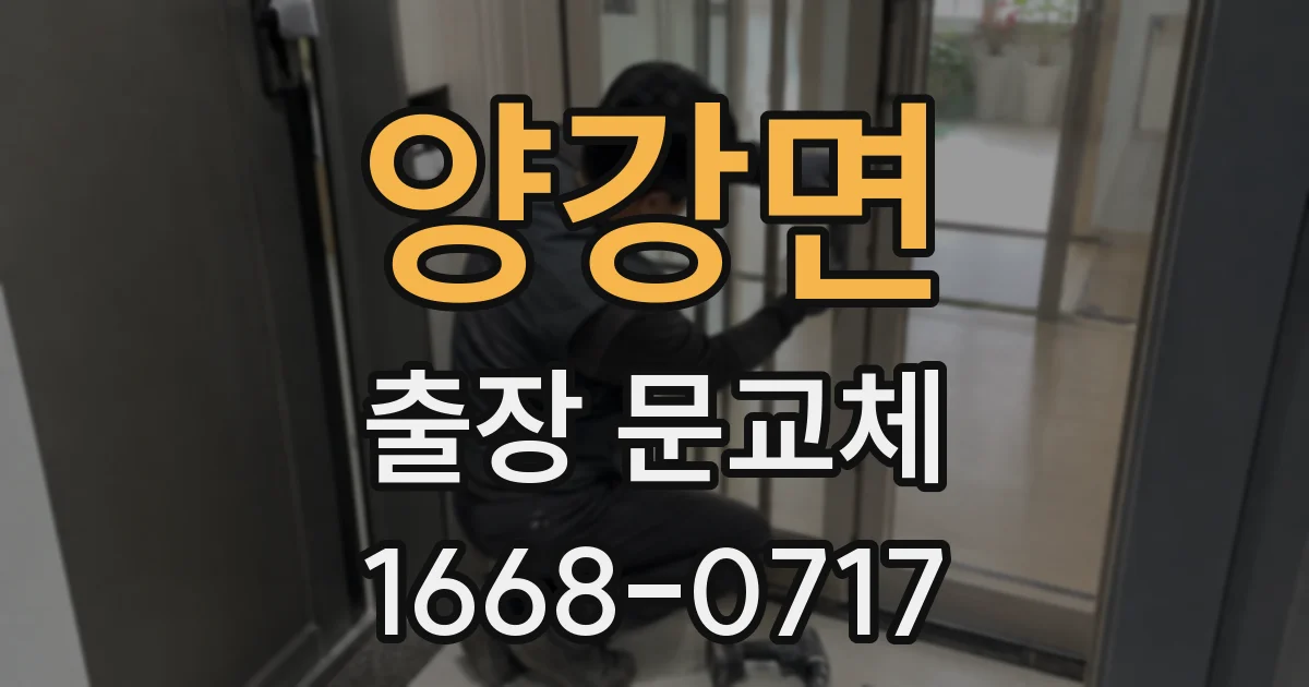 양강면 출장 문교체