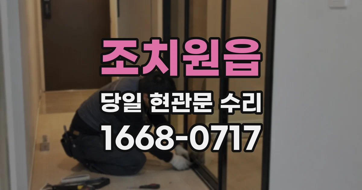 조치원읍 당일 현관문 수리