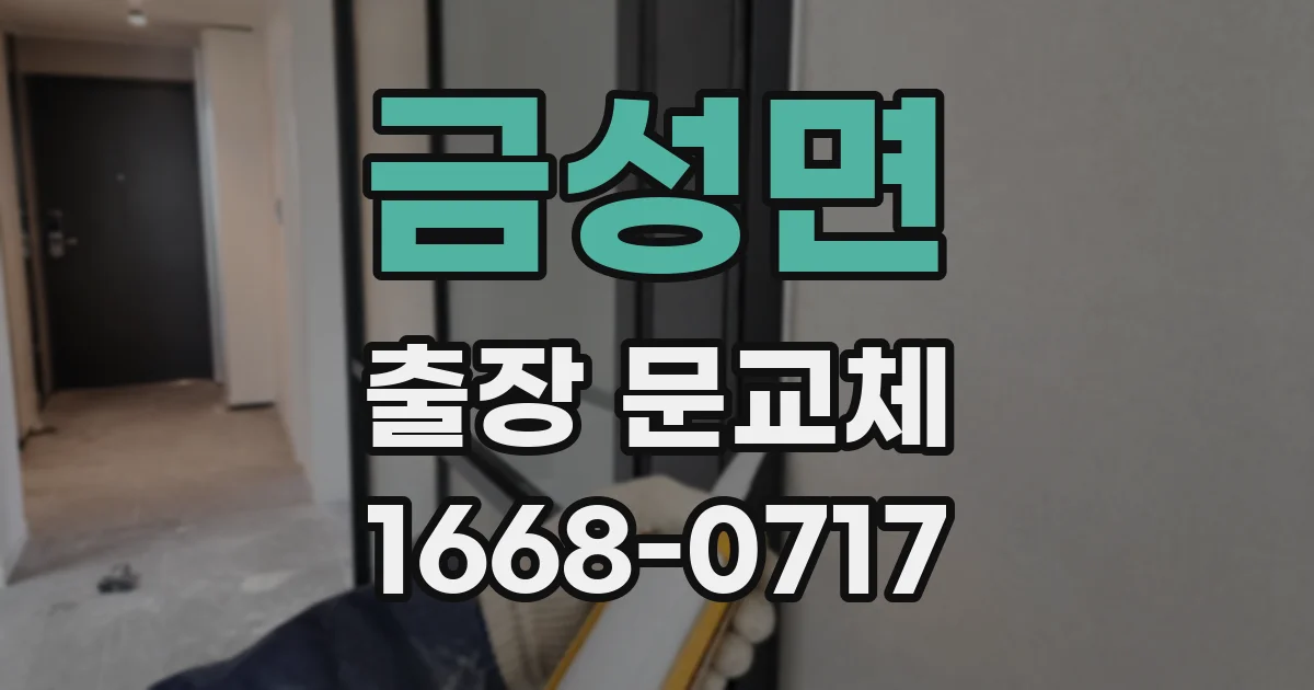 금성면 출장 문교체