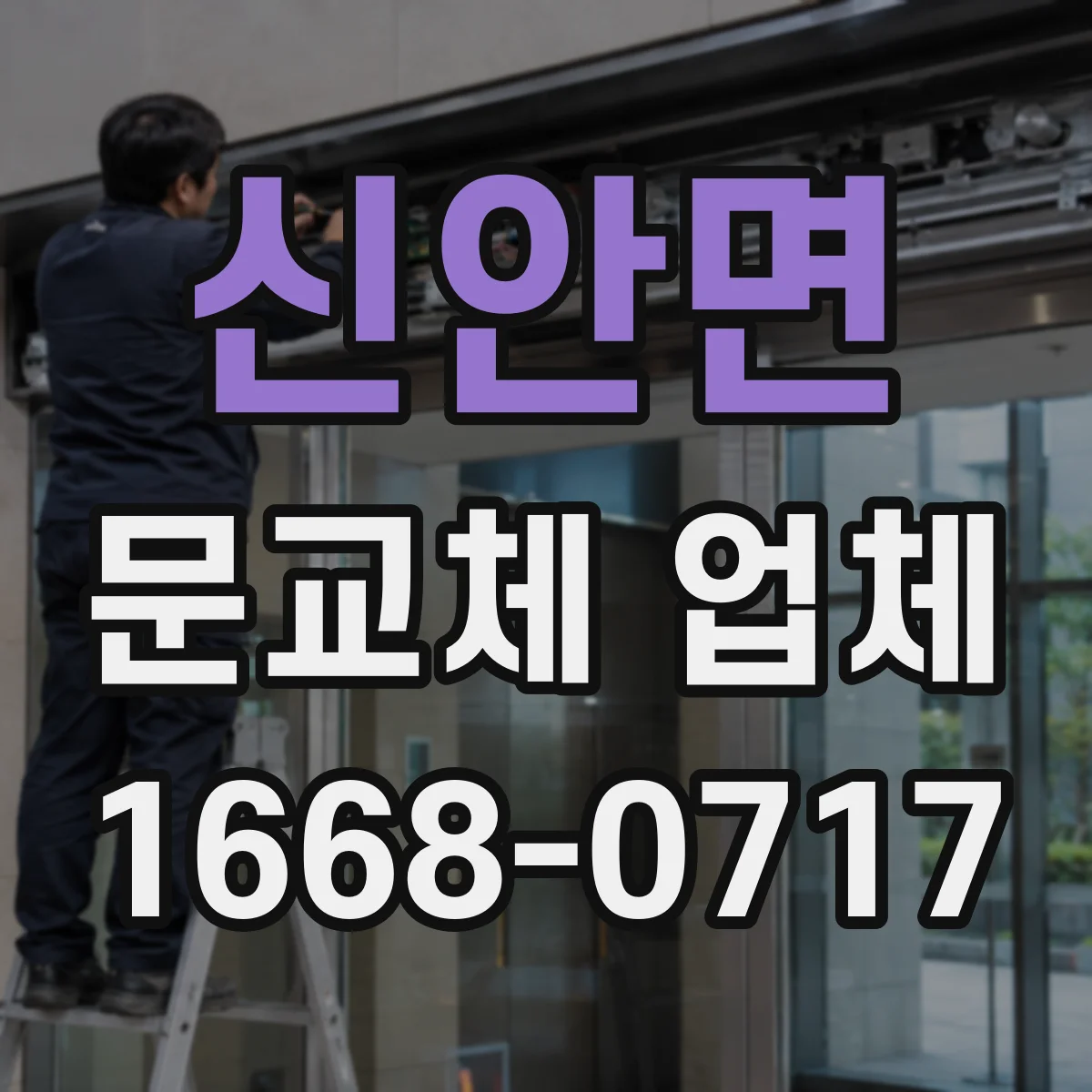 신안면 문교체 업체