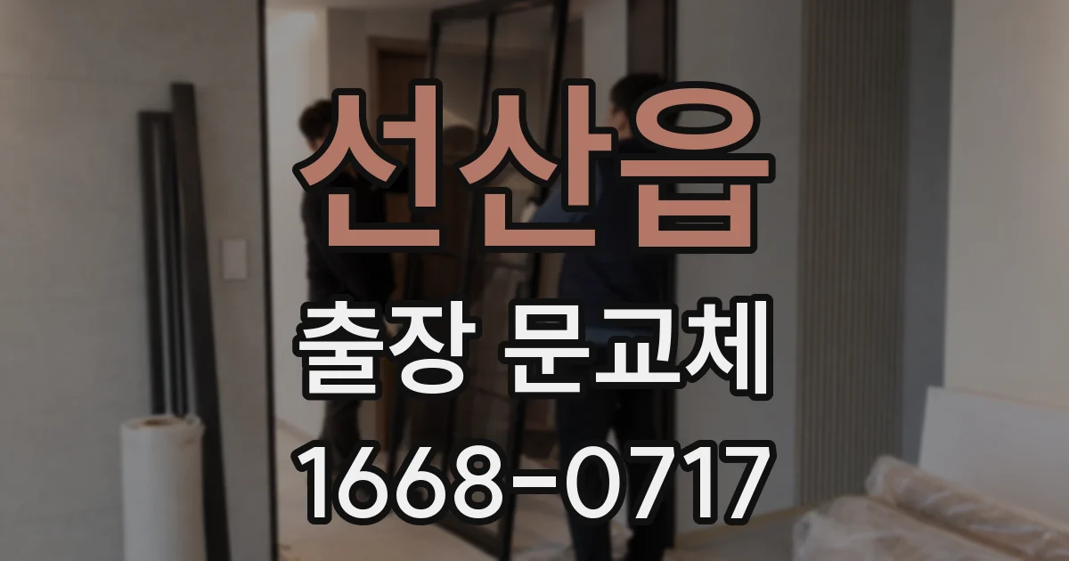 선산읍 출장 문교체
