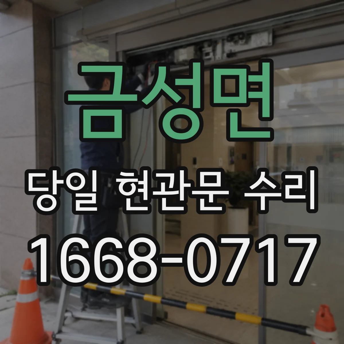 금성면 당일 현관문 수리