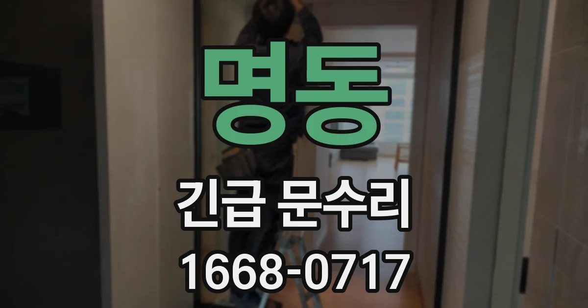 명동 긴급 문수리