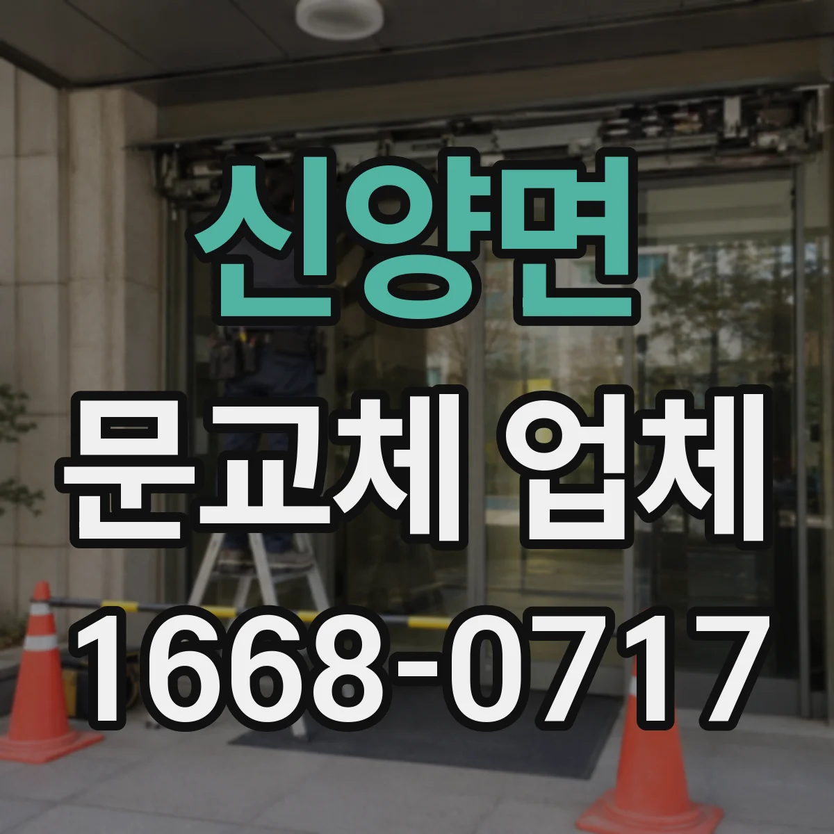 신양면 문교체 업체