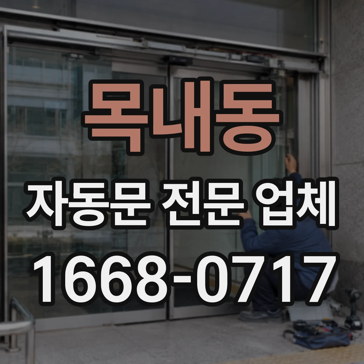 목내동 자동문 전문 업체
