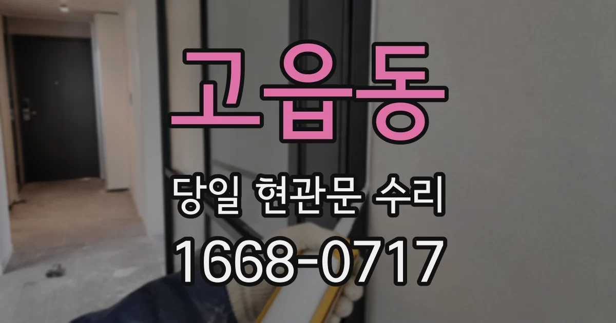 고읍동 당일 현관문 수리