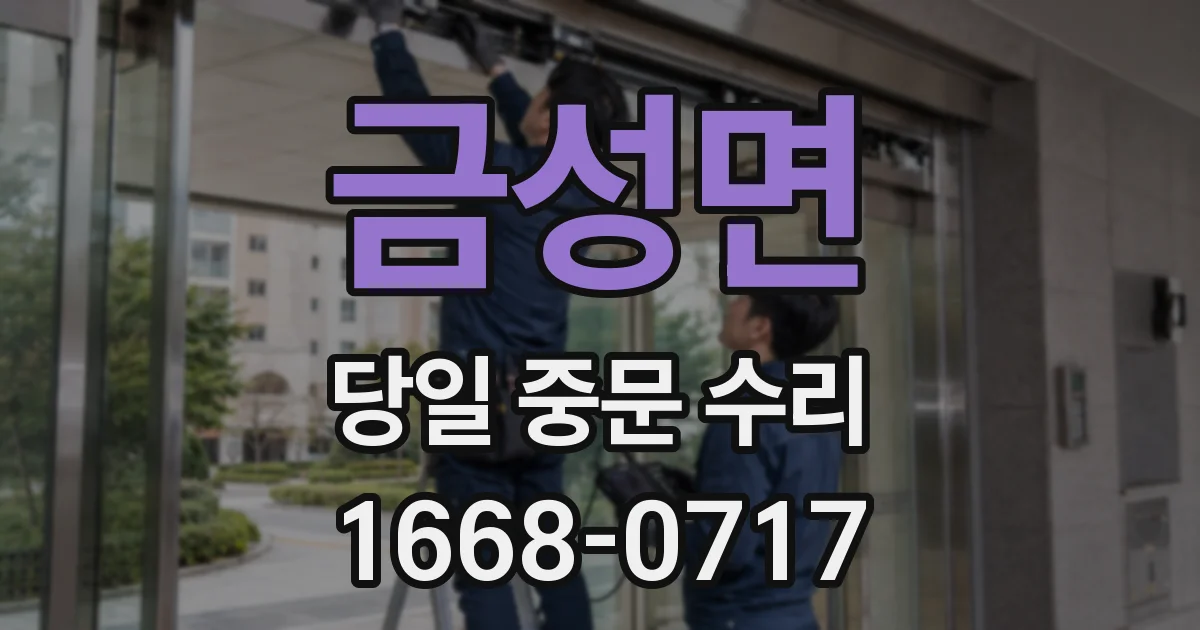 금성면 당일 중문 수리