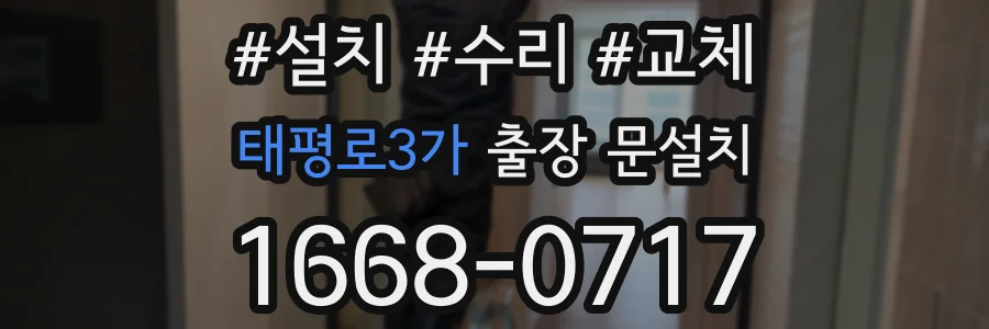 태평로3가 출장 문설치