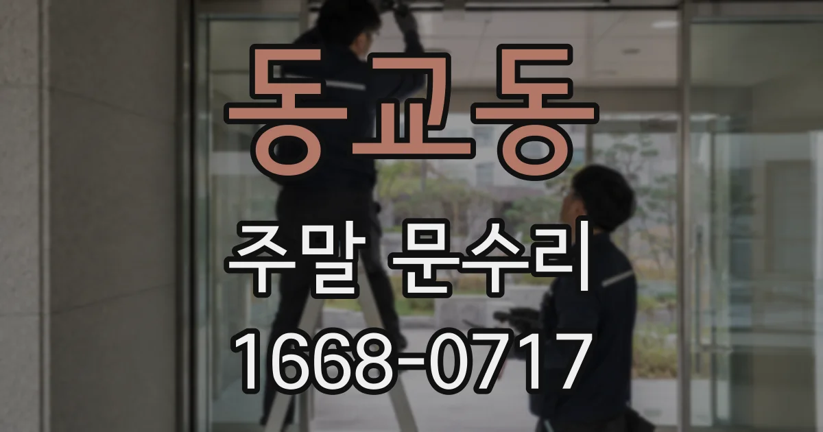 동교동 주말 문수리
