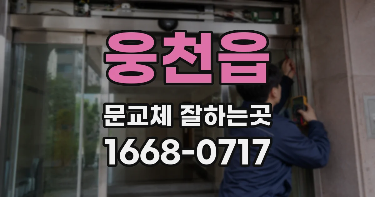 웅천읍 문교체 잘하는곳