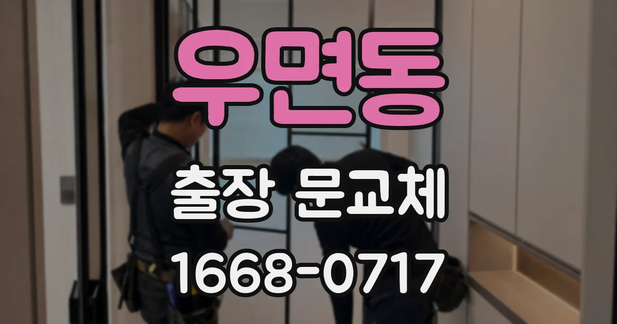 우면동 출장 문교체