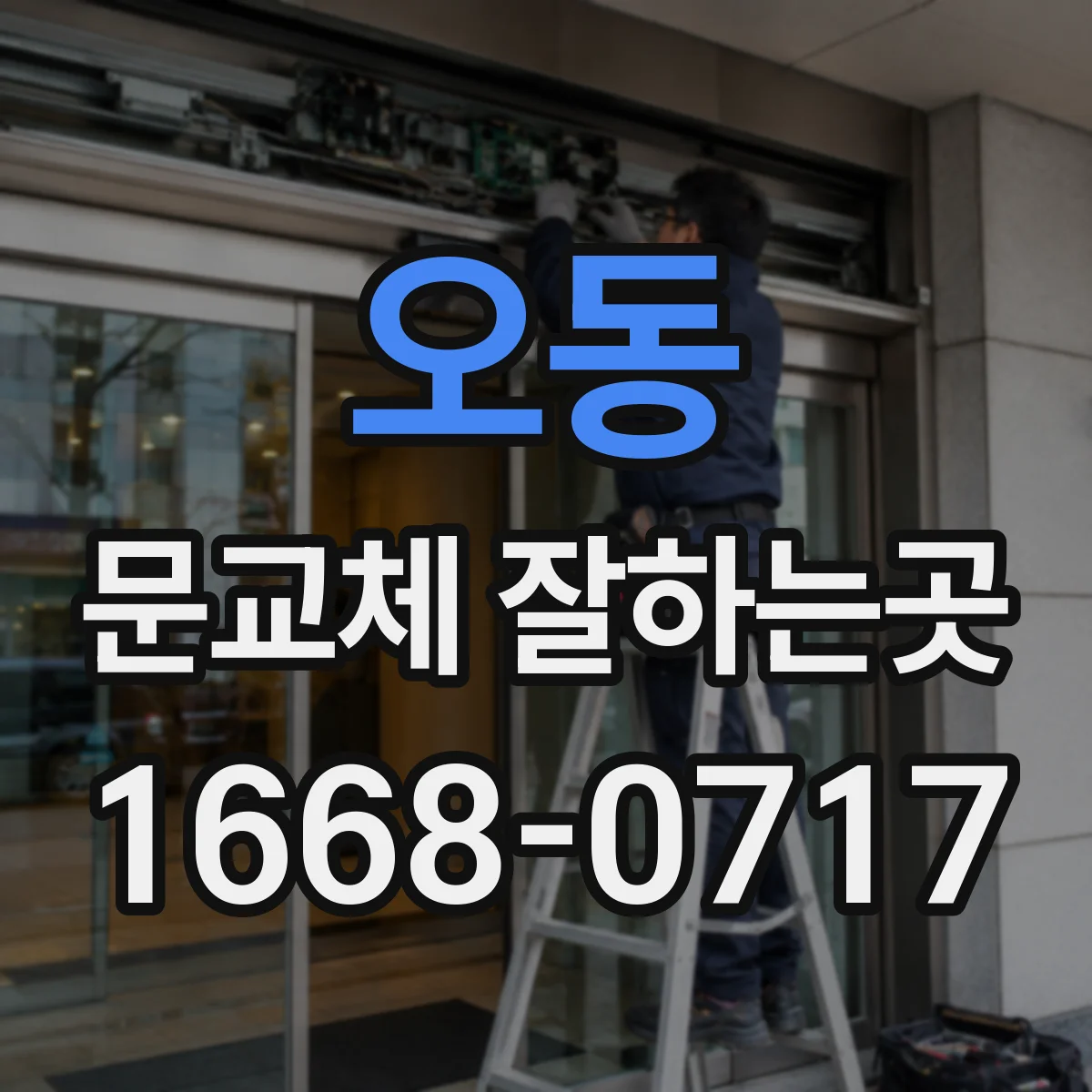 오동 문교체 잘하는곳