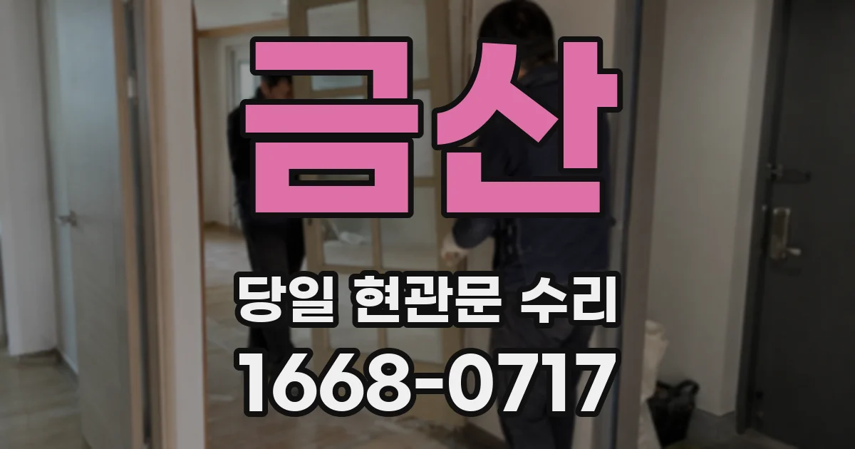 금산 당일 현관문 수리