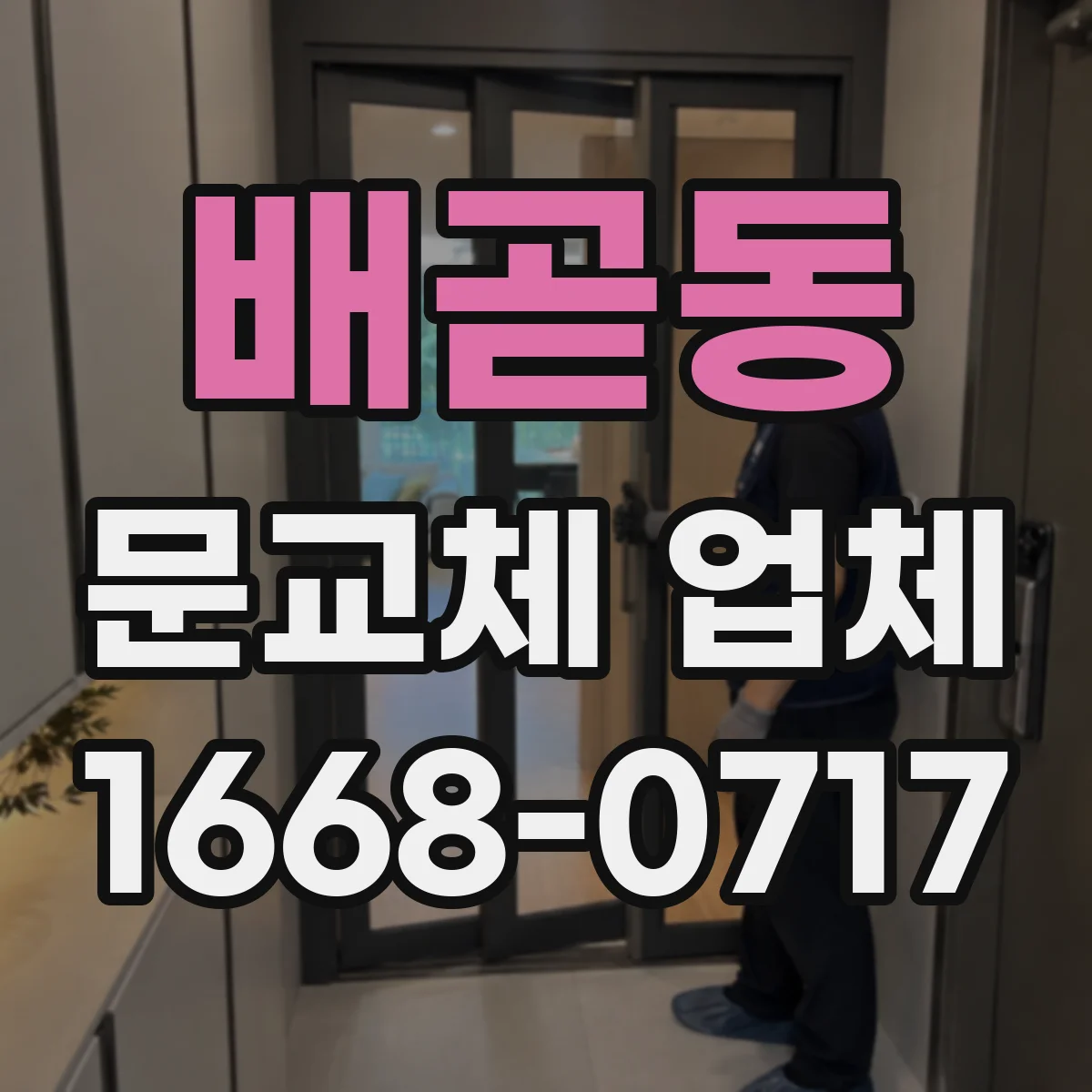 배곧동 문교체 업체