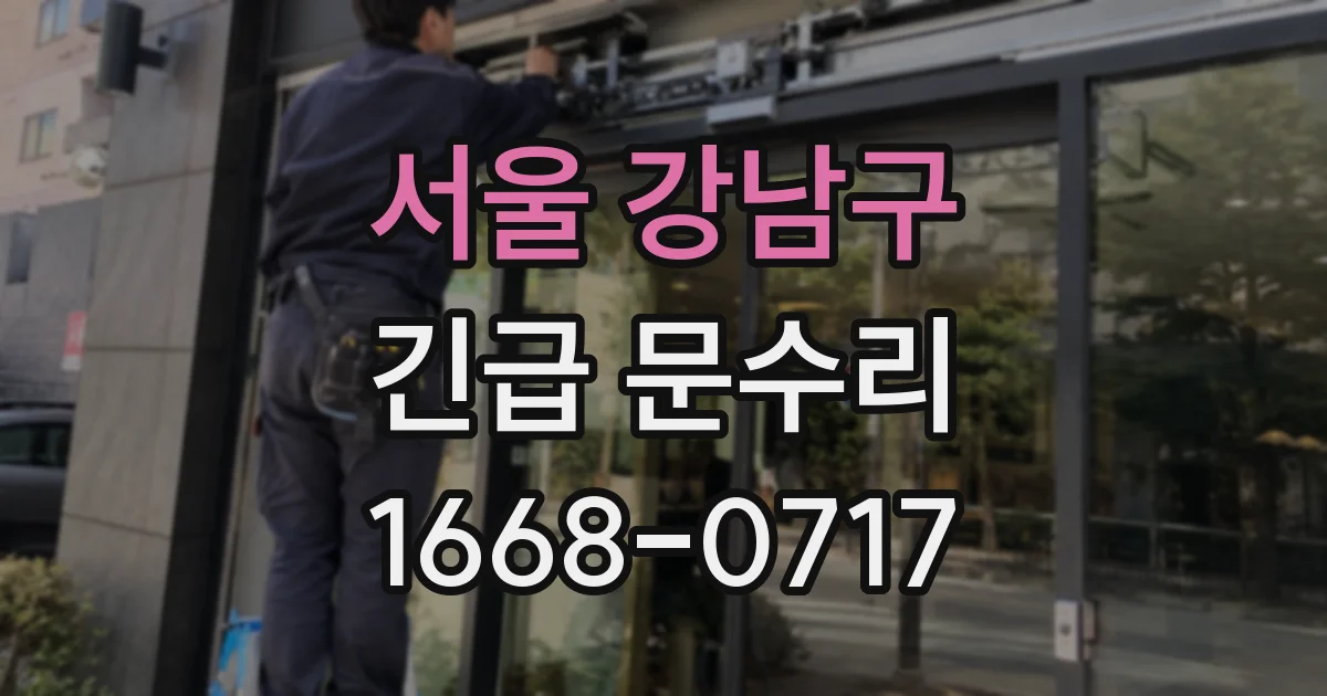 서울 강남구 긴급 문수리