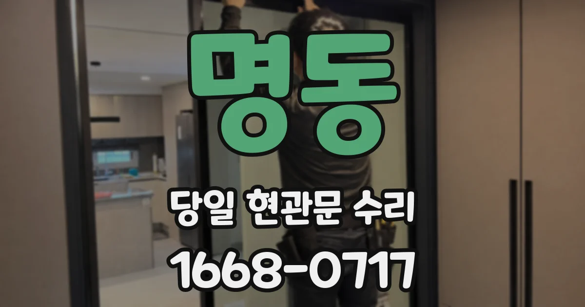 명동 당일 현관문 수리