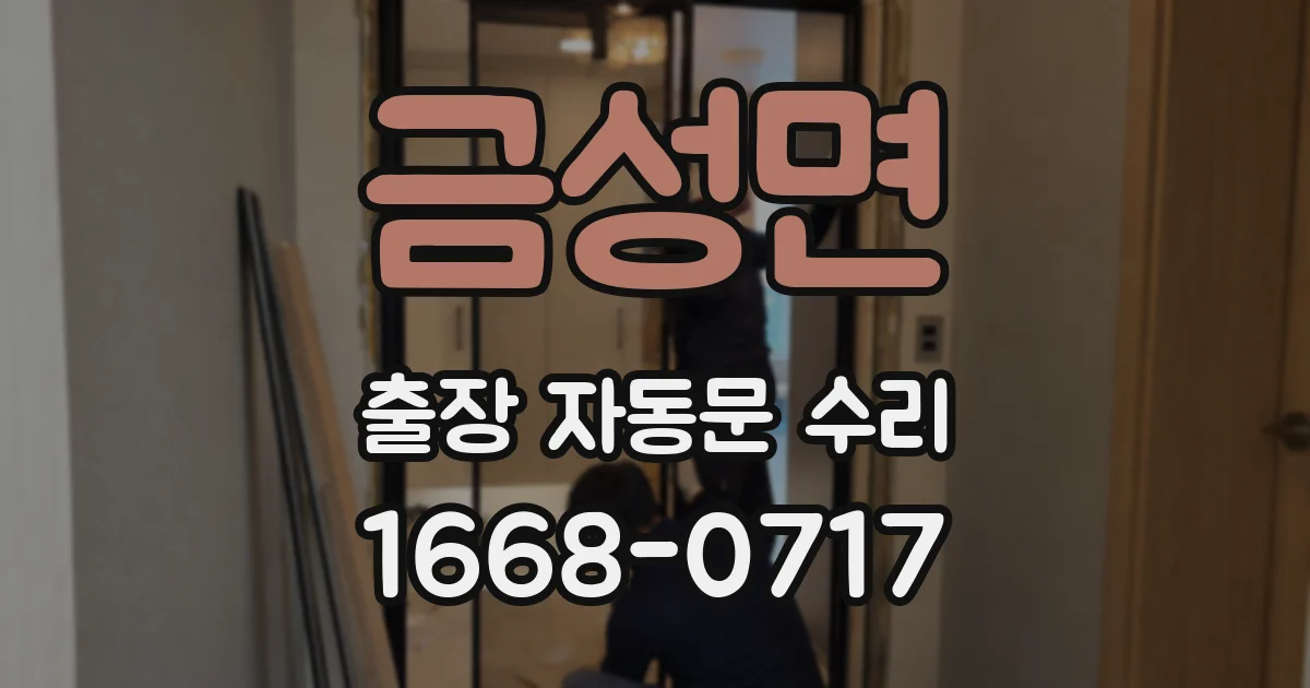 금성면 출장 자동문 수리