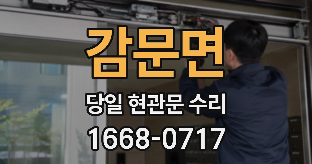감문면 당일 현관문 수리