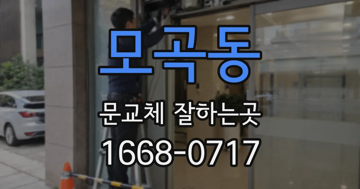 모곡동 문교체 잘하는곳