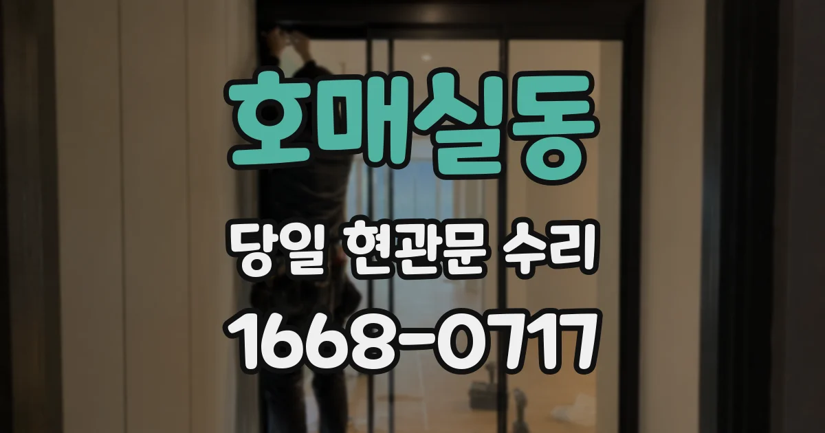 호매실동 당일 현관문 수리