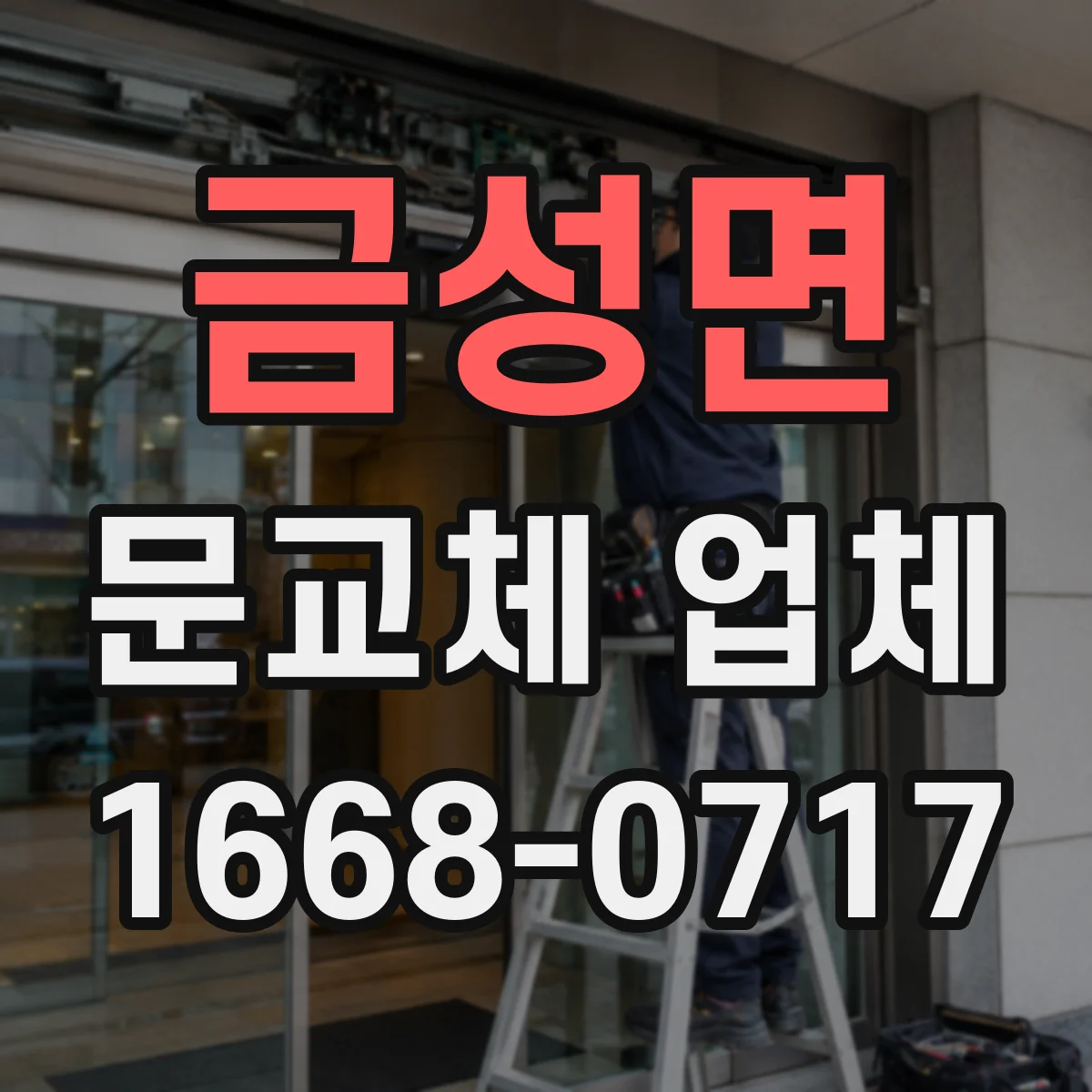 금성면 문교체 업체