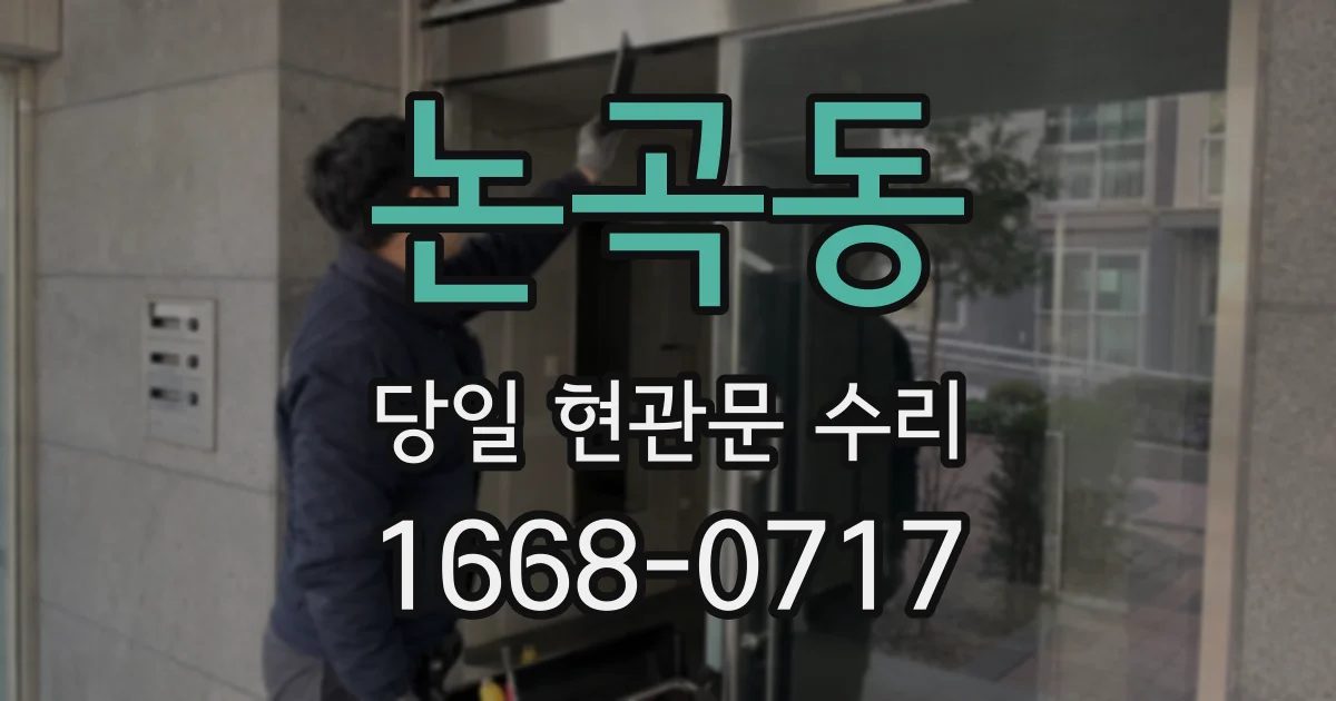 논곡동 당일 현관문 수리