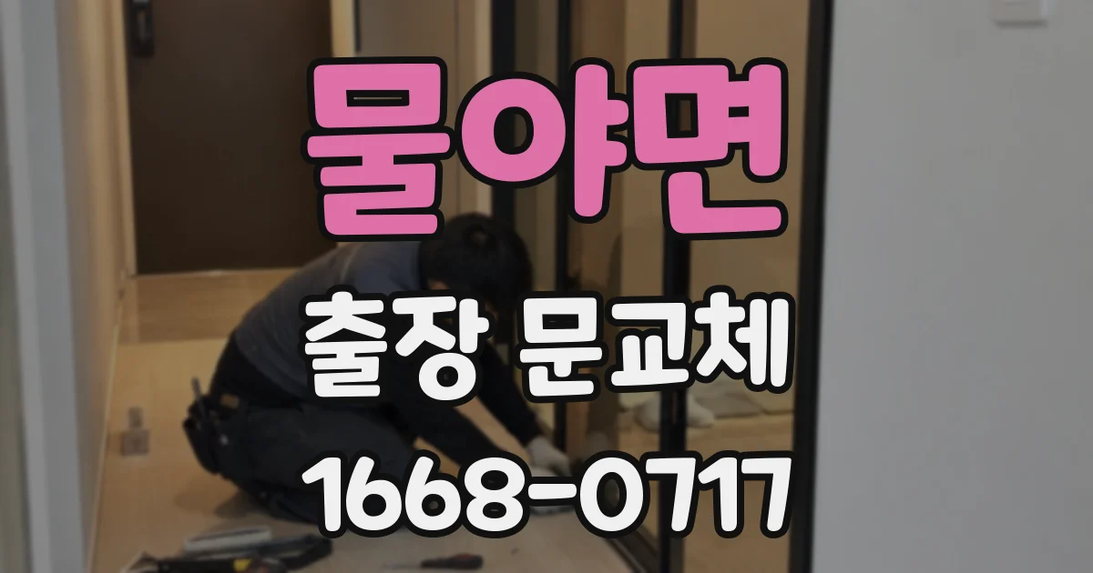 물야면 출장 문교체