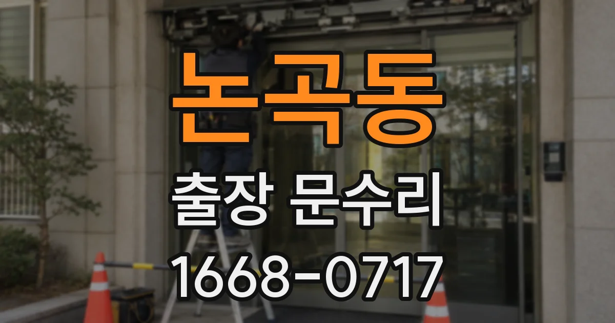 논곡동 출장 문수리