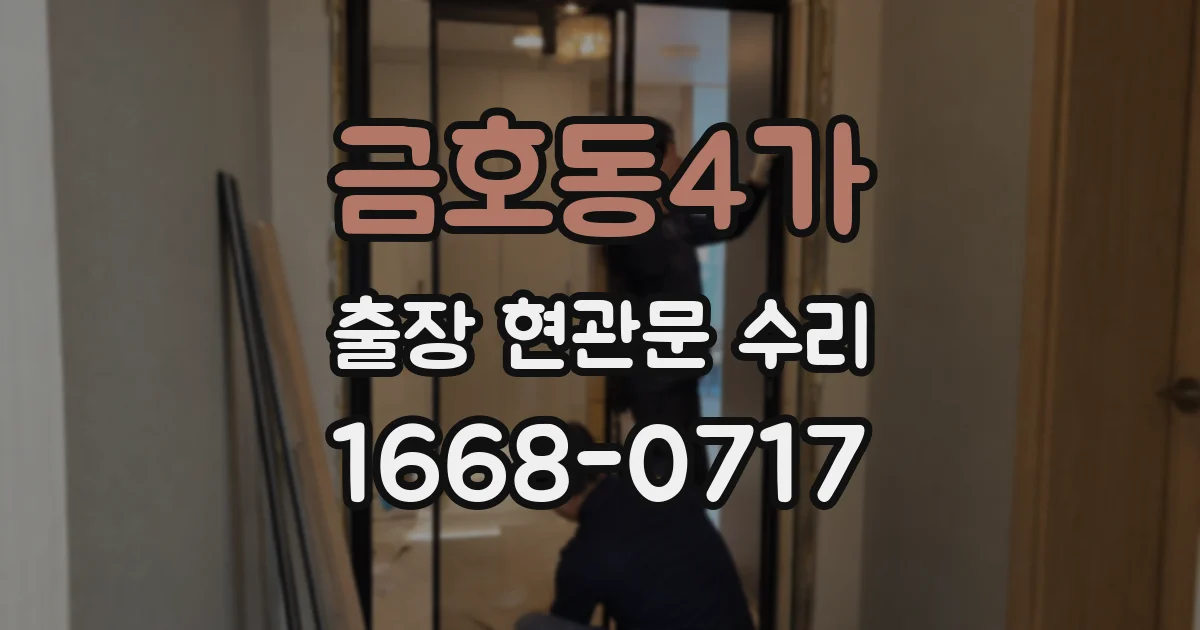 금호동4가 출장 현관문 수리