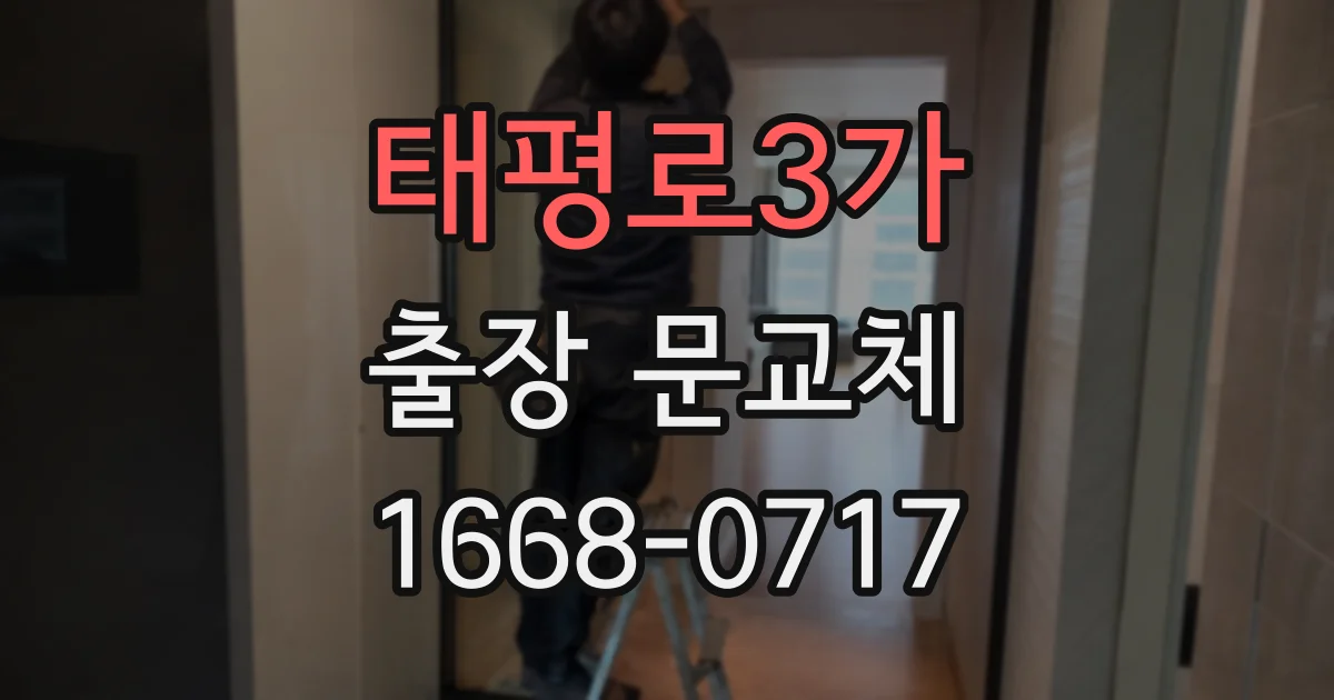 태평로3가 출장 문교체