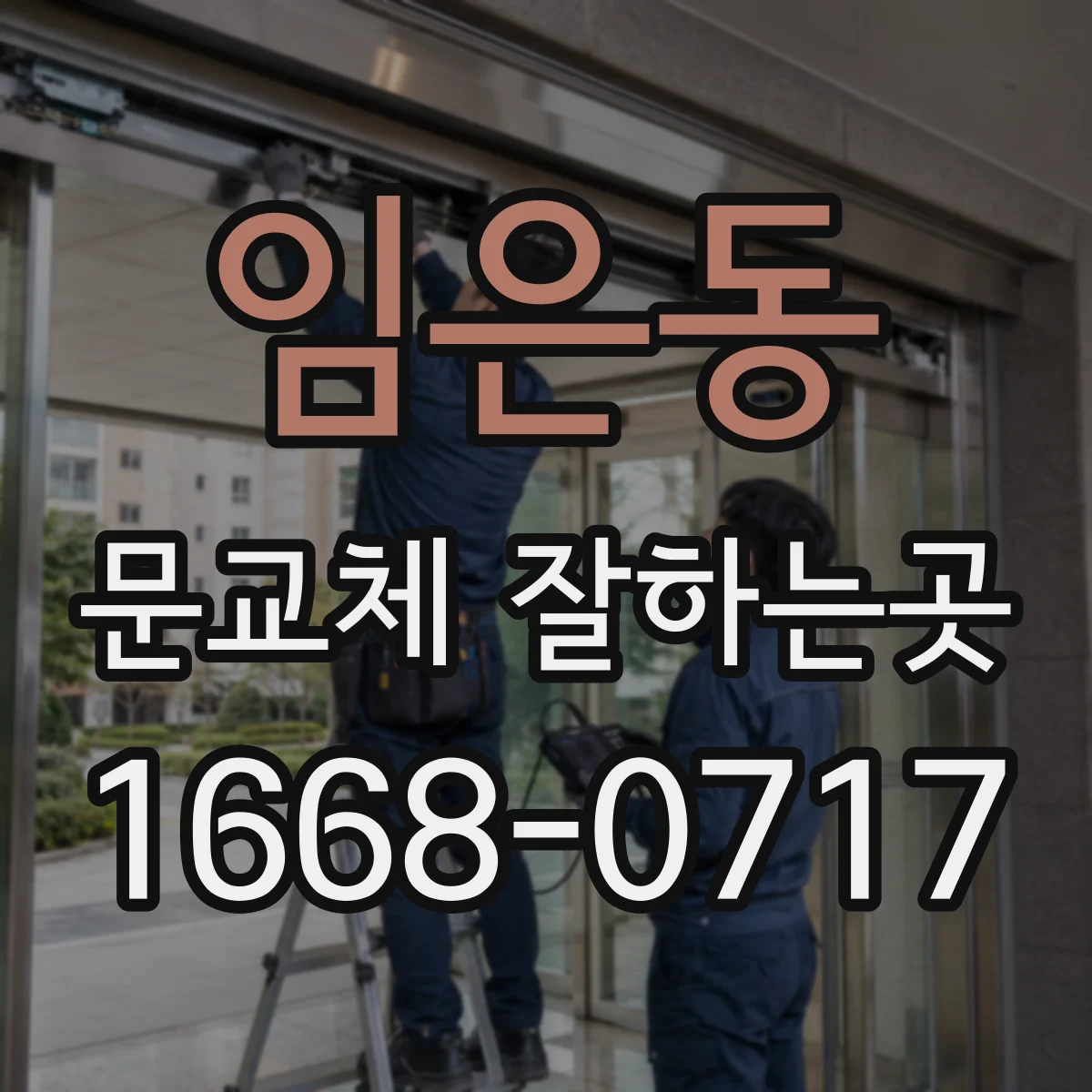 임은동 문교체 잘하는곳