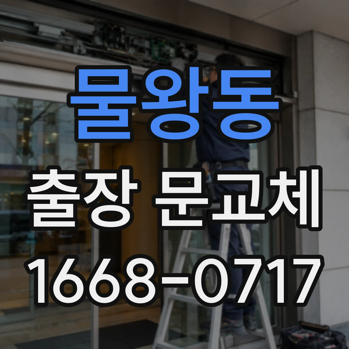 물왕동 출장 문교체