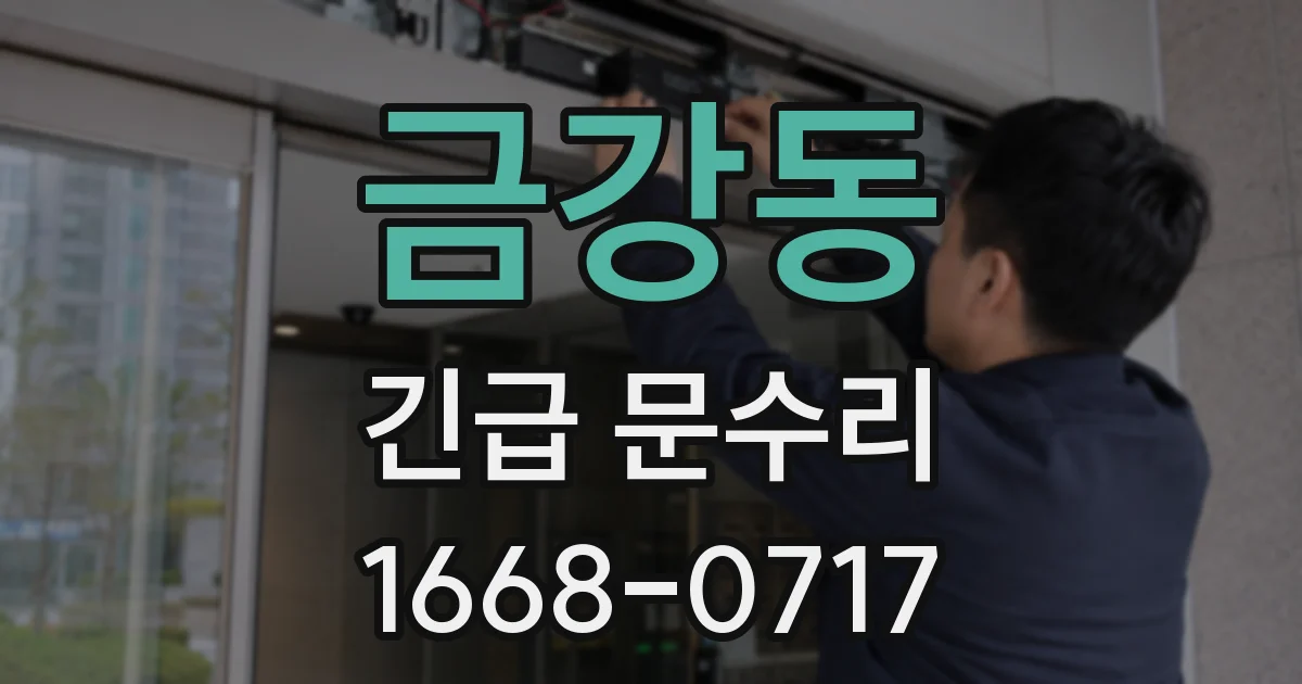 금강동 긴급 문수리