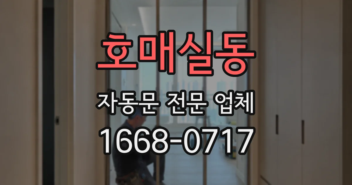 호매실동 자동문 전문 업체