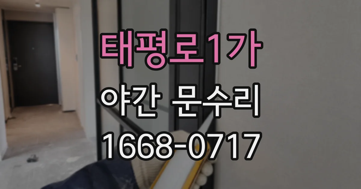 태평로1가 야간 문수리