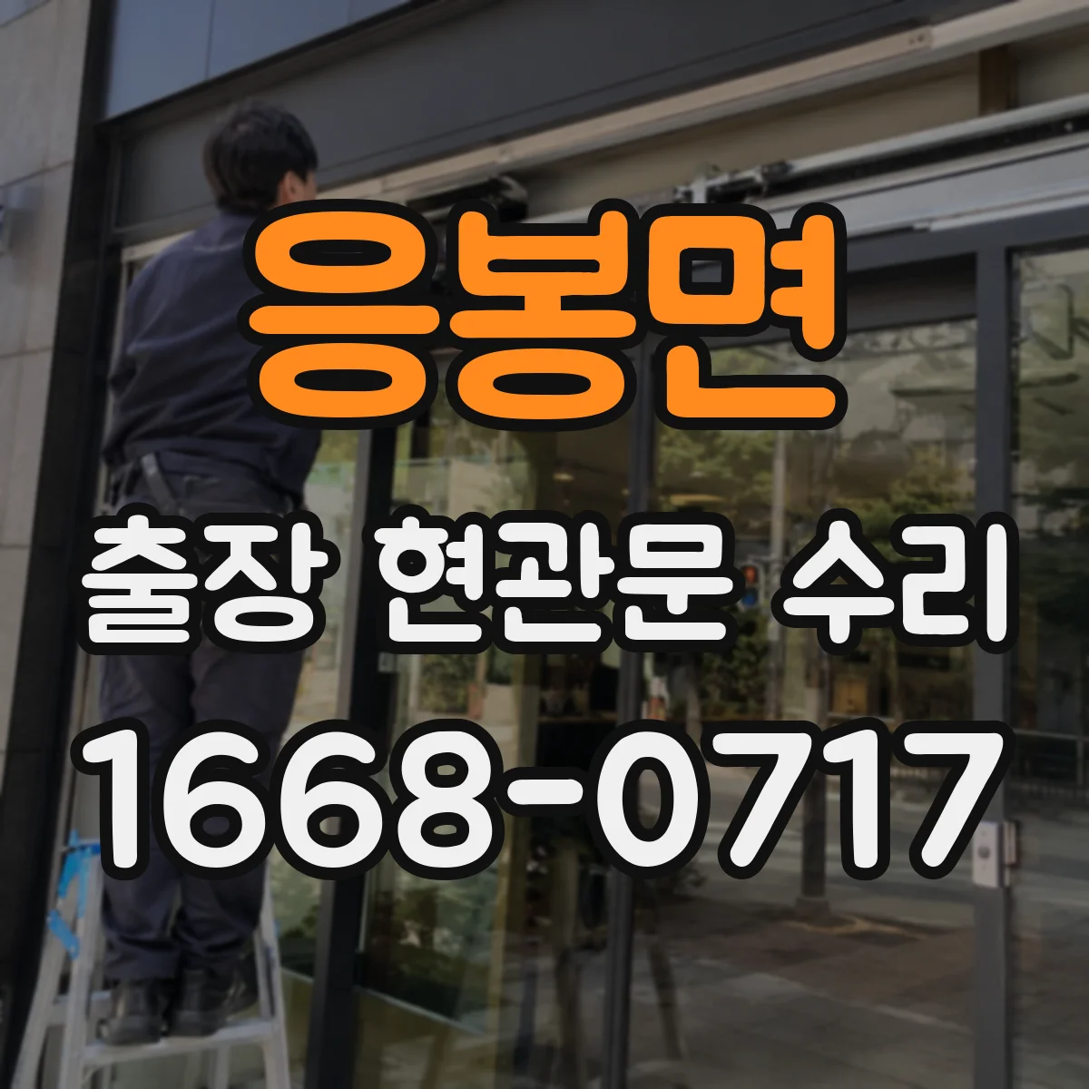 응봉면 출장 현관문 수리