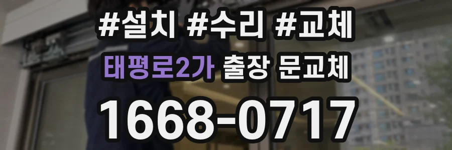 태평로2가 출장 문교체