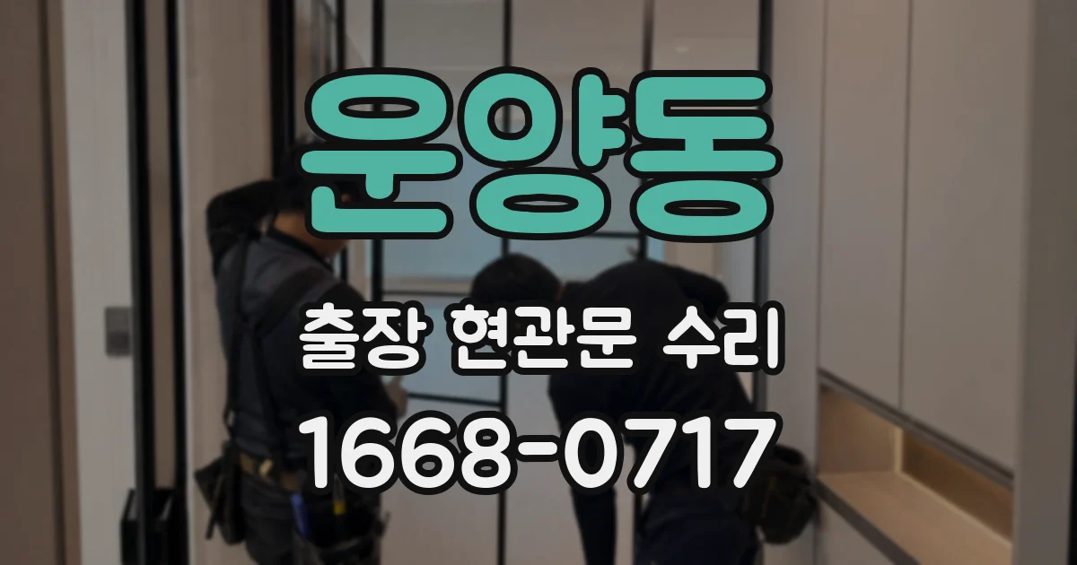 운양동 출장 현관문 수리