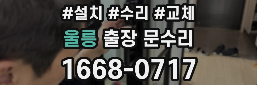 울릉 출장 문수리
