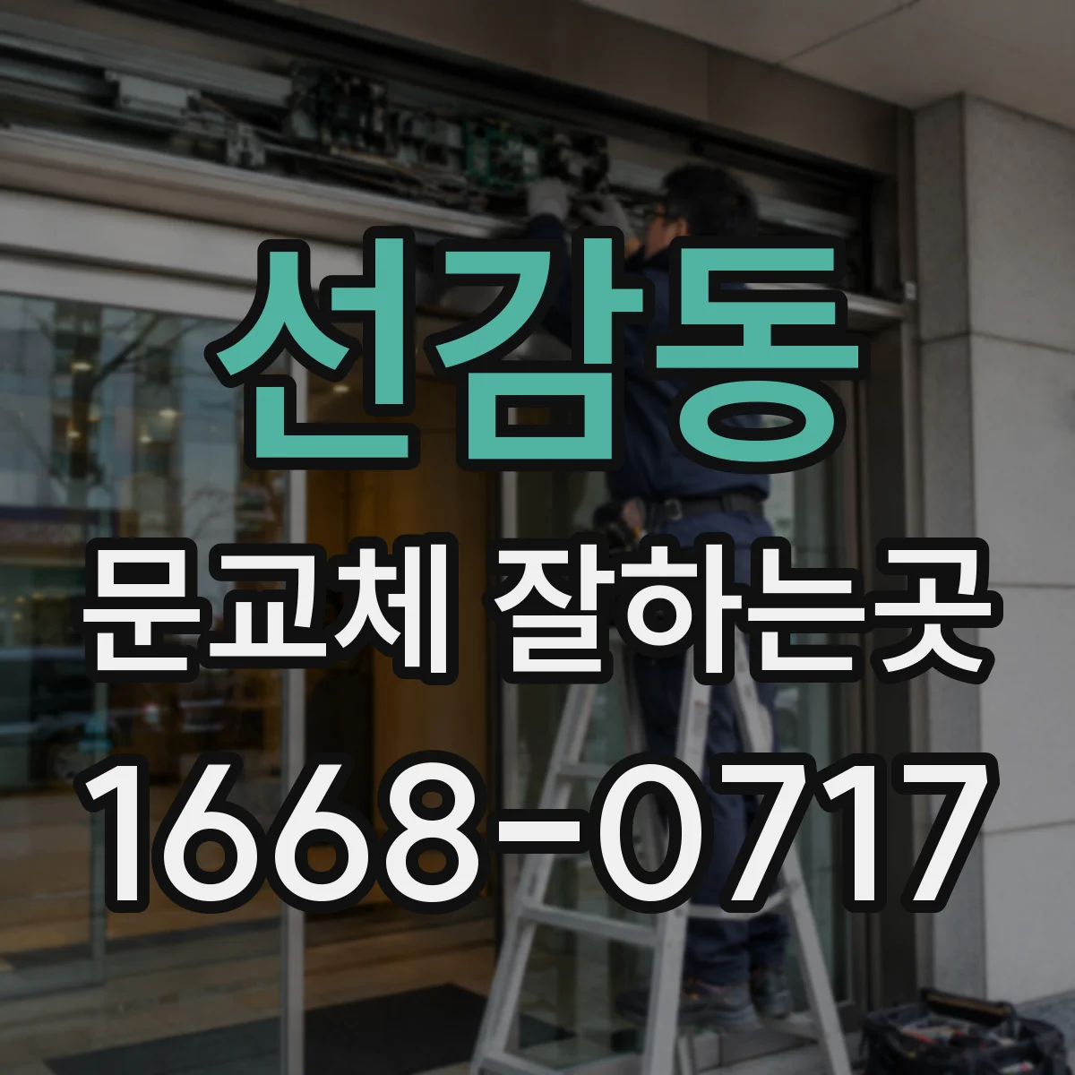 선감동 문교체 잘하는곳