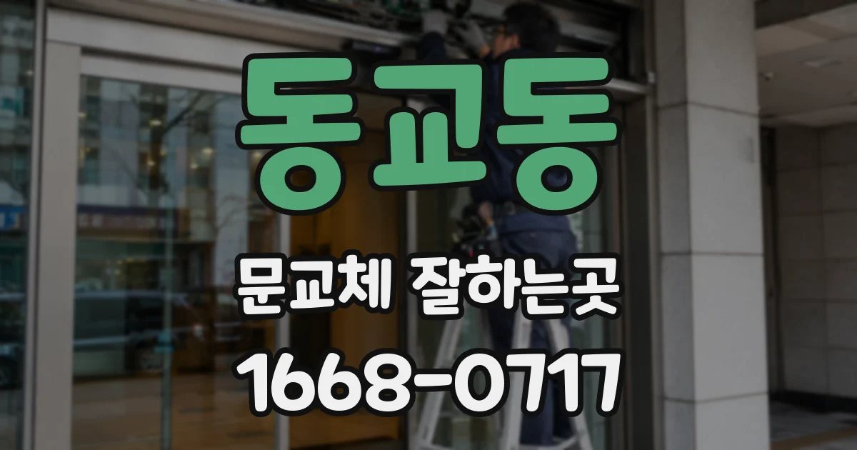 동교동 문교체 잘하는곳