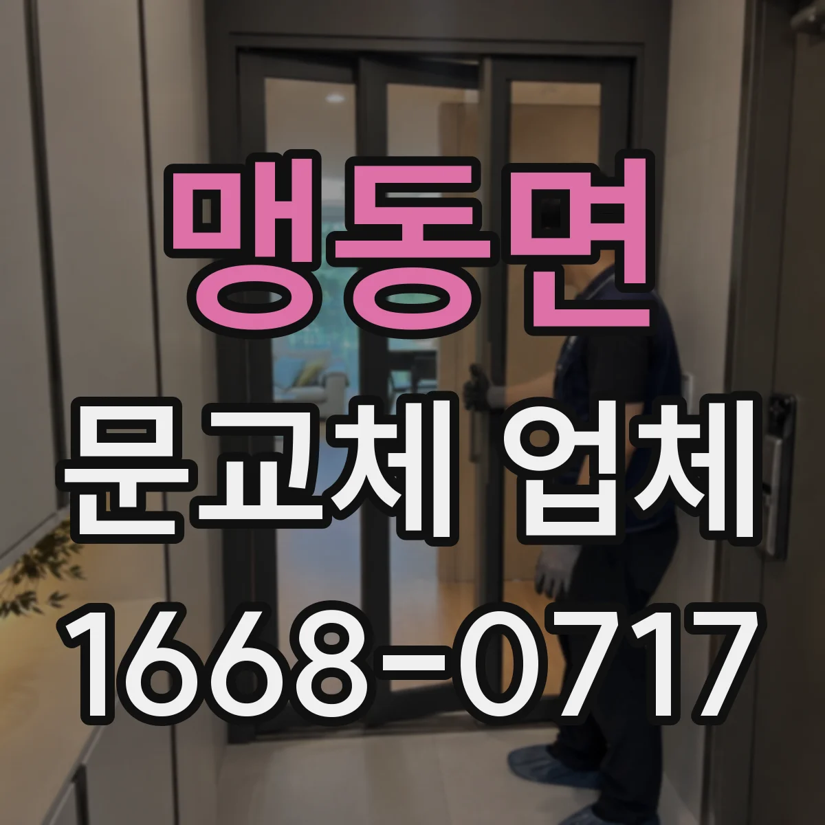 맹동면 문교체 업체