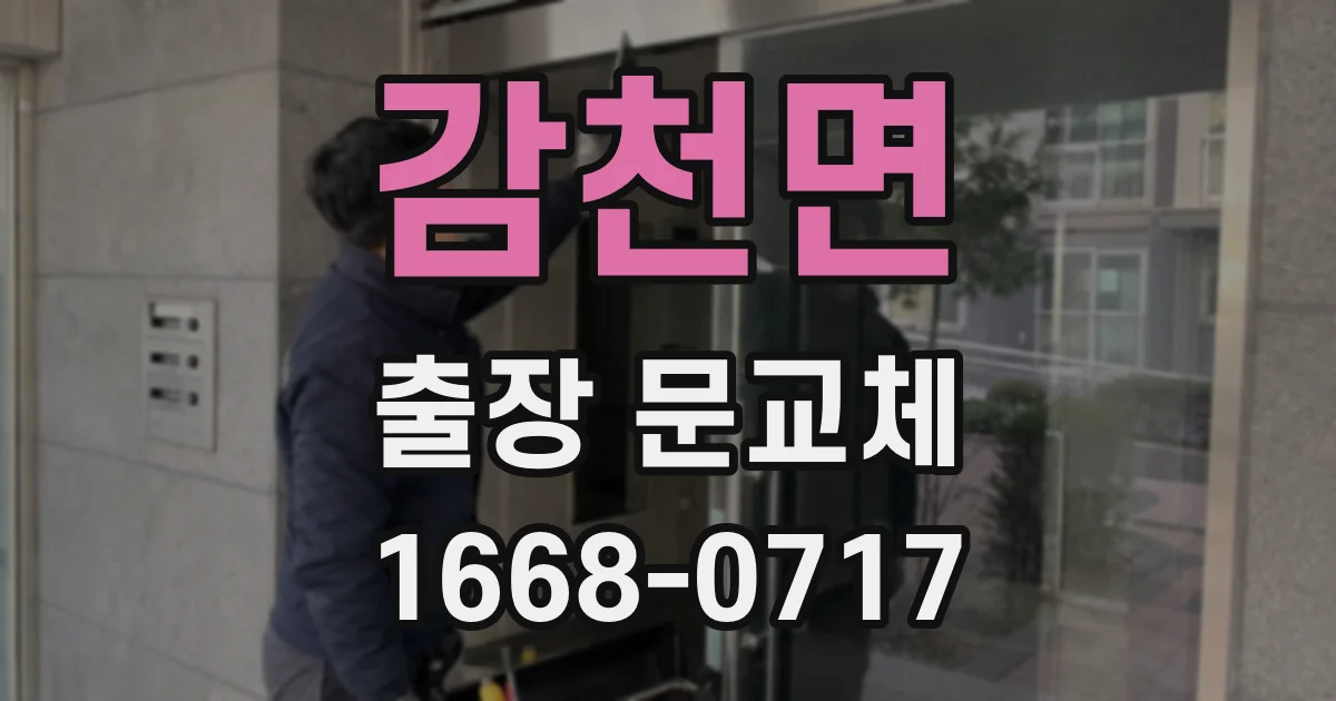 감천면 출장 문교체