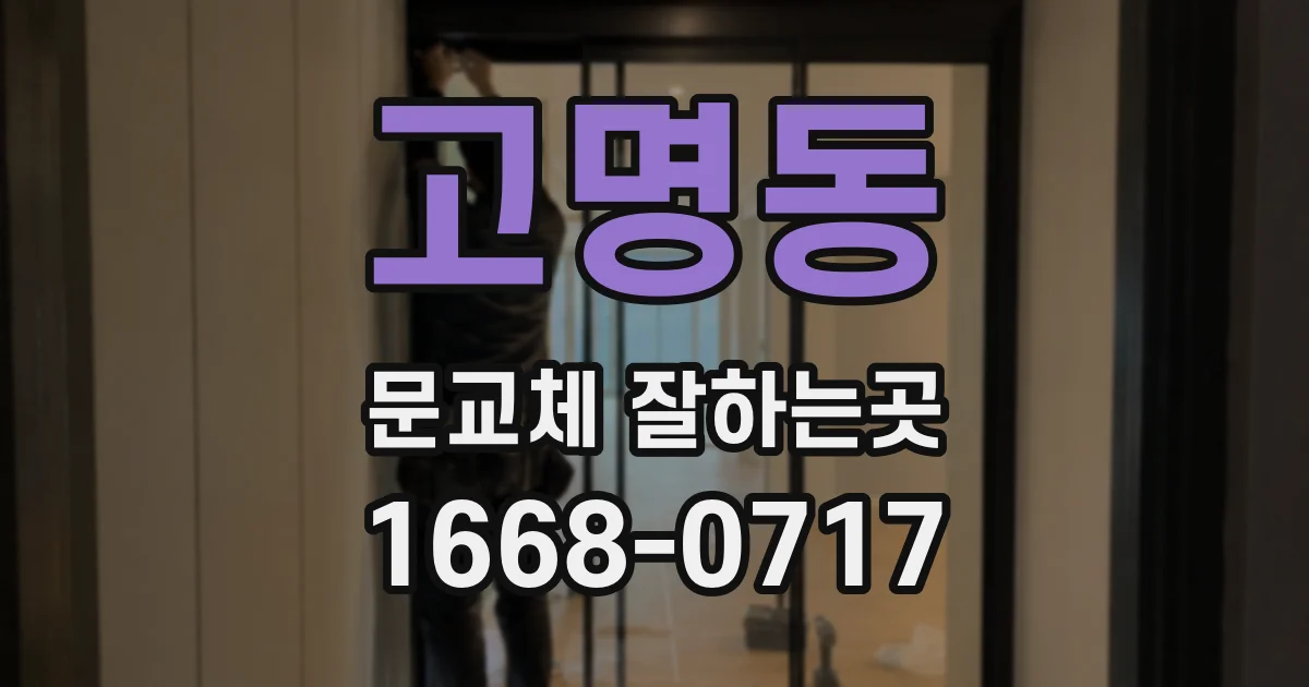 고명동 문교체 잘하는곳