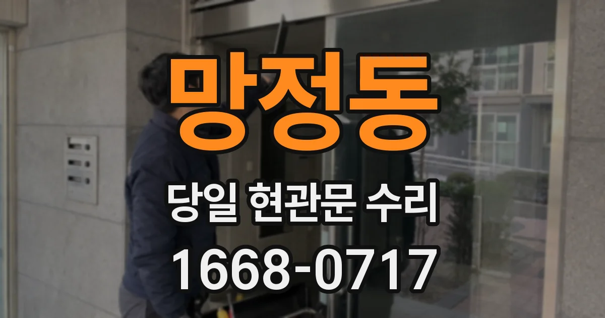 망정동 당일 현관문 수리