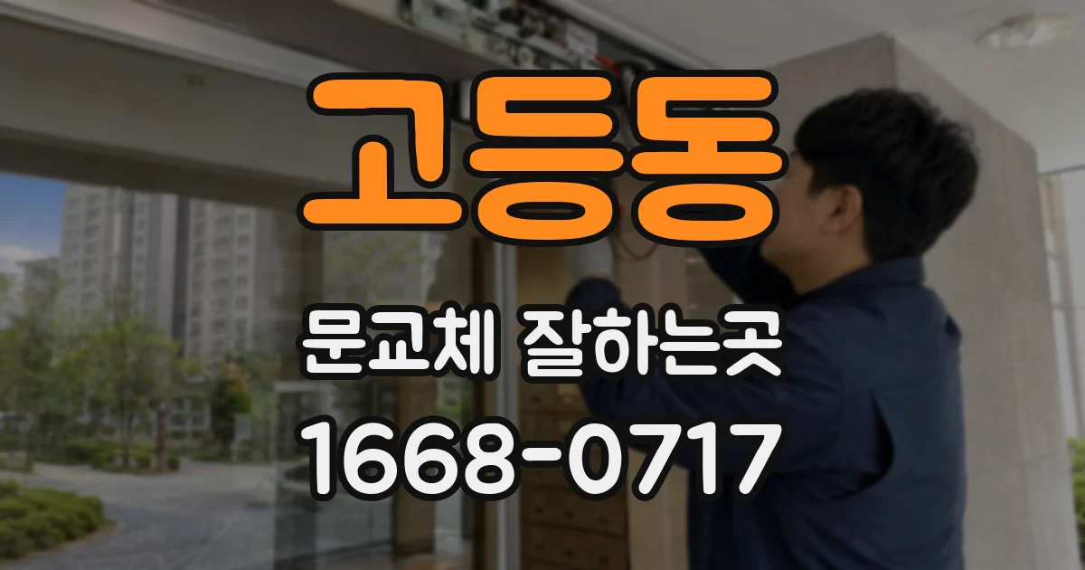 고등동 문교체 잘하는곳