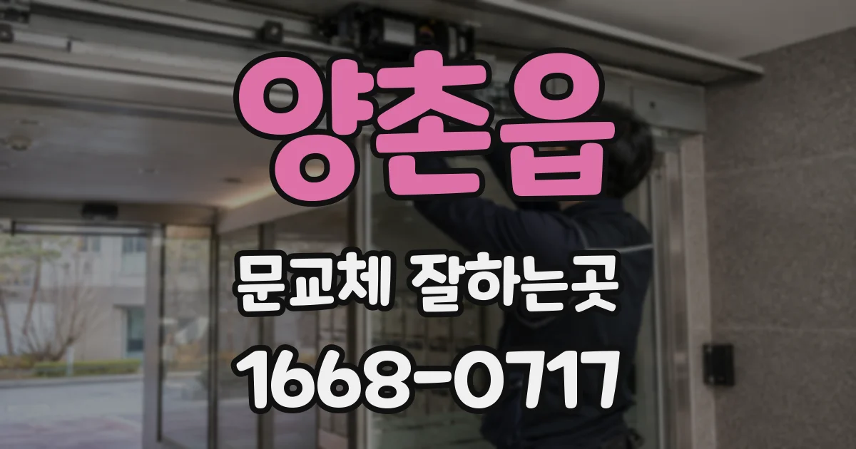 양촌읍 문교체 잘하는곳