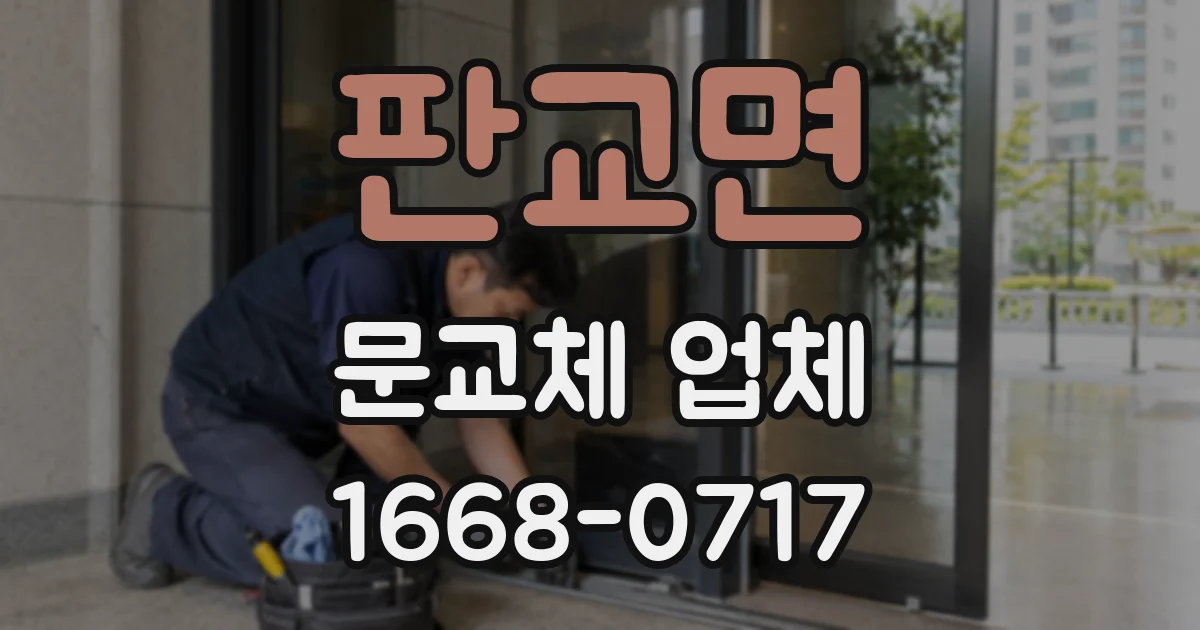 판교면 문교체 업체